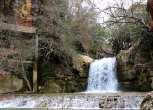 الجاهلية