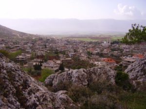كامد اللوز