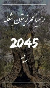 بشعلة