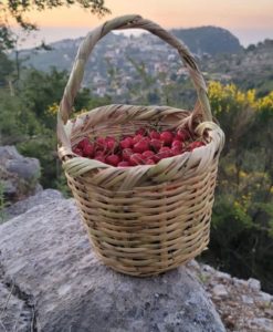 بشعلة